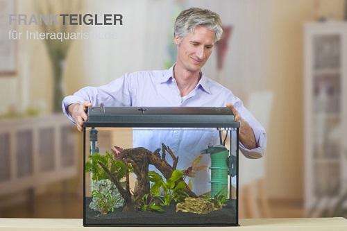 Neu eingerichtetes Aquarium erhält eine Beleuchtung