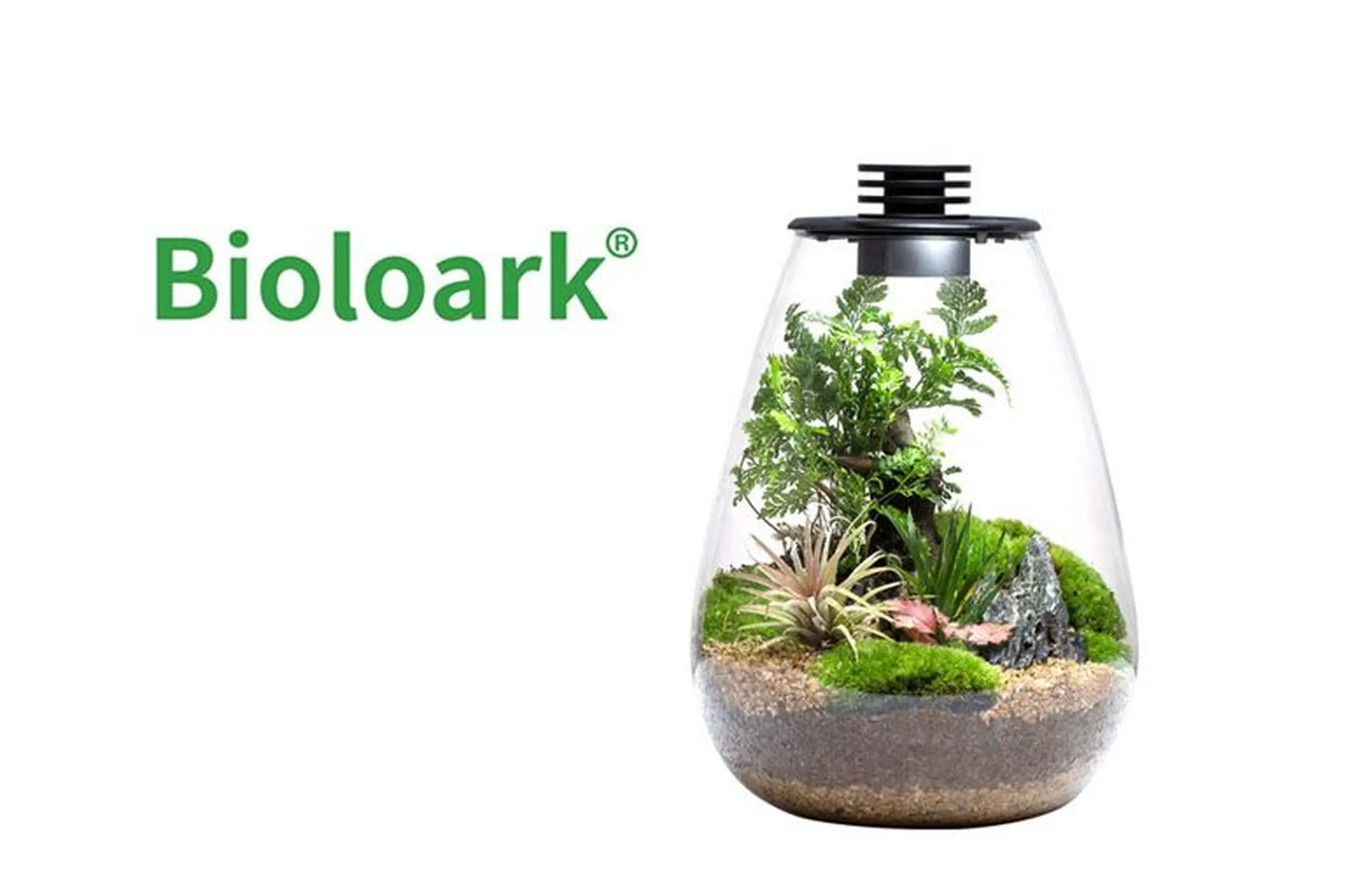Bioloark Bio Bottle SD175 Wabi-Kusa / Biosphäre, Tropfenform