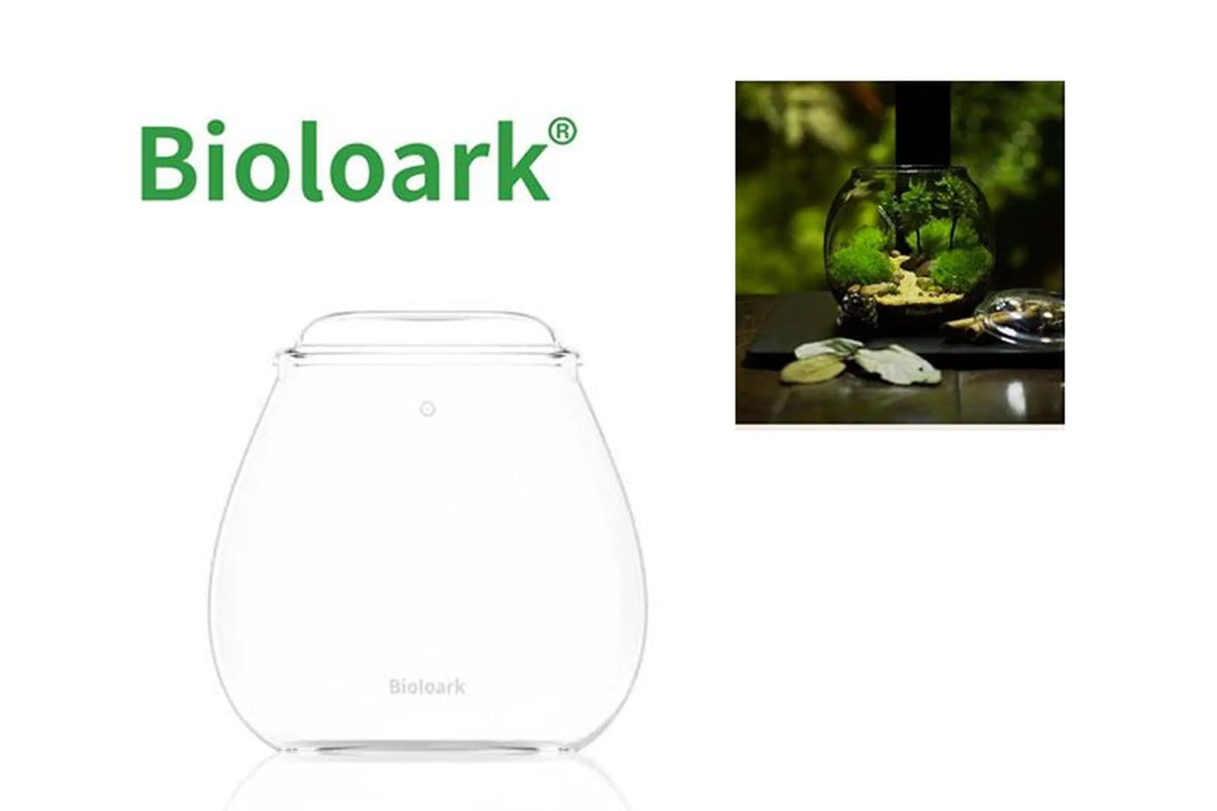 Bioloark Bubble Cup FOUR, Wabi-Kusa Glas