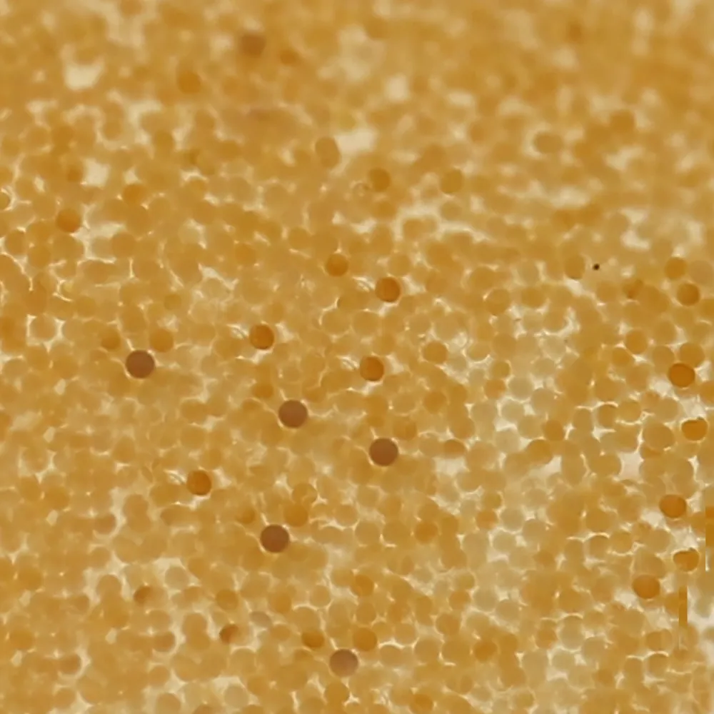 Nahaufnahme feiner goldbrauner dekapsulierter Artemia-Partikel (≈0,2 mm) aus Dupla Gel-o-Juice Artemia Micro 50 ml – flüssigfutter für Jungfische, filtrierende Wirbellose und LPS-Korallen