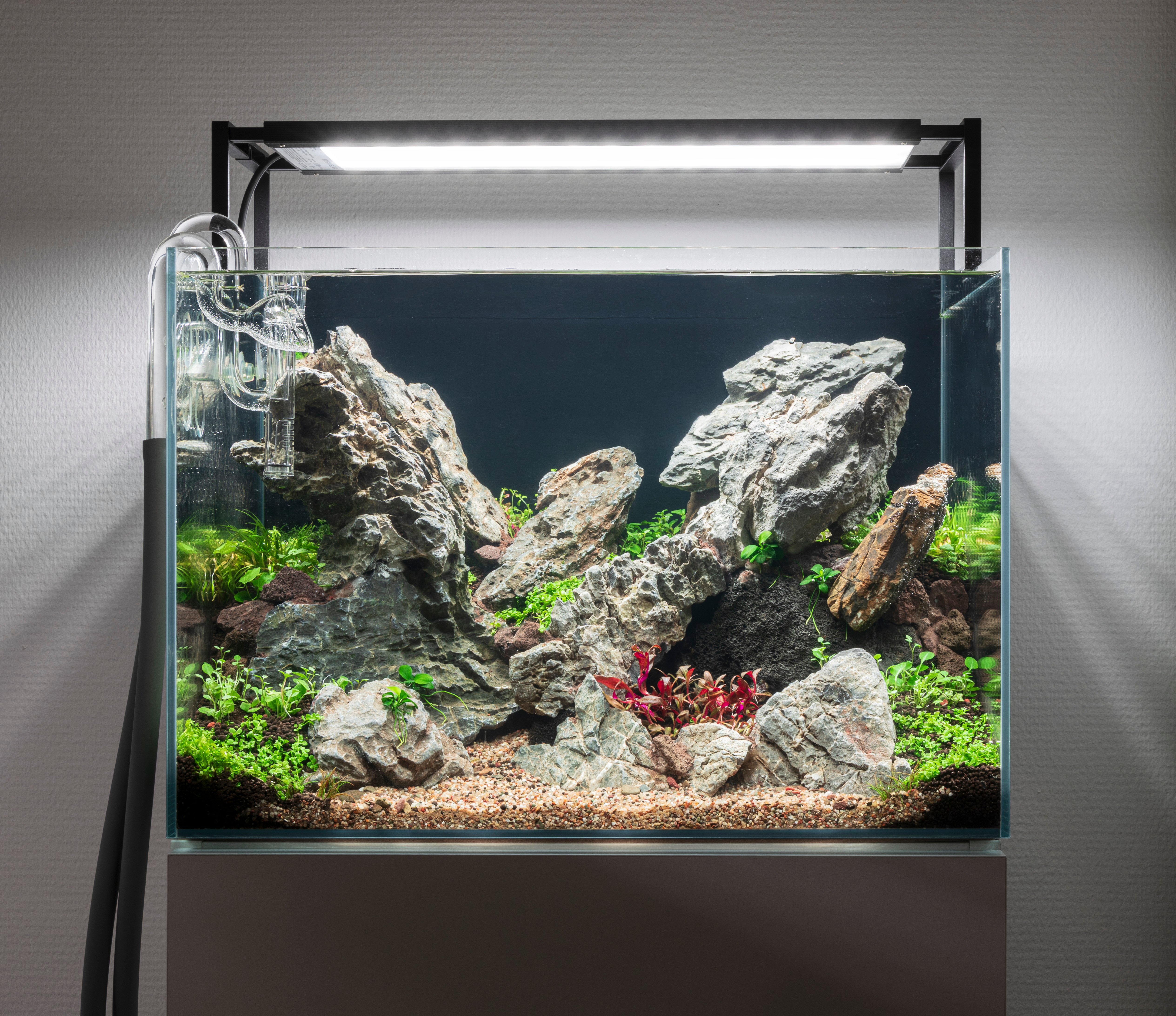 Scharfkantiges Hardscape - Risiko für Bettas