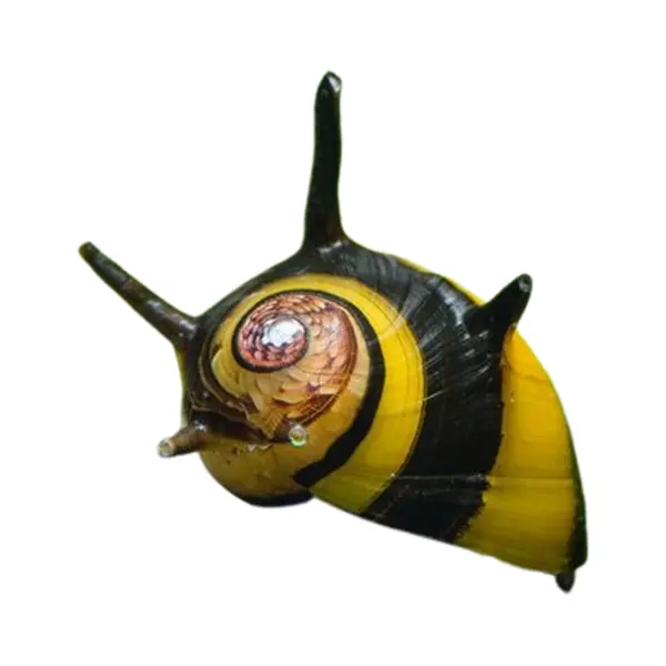 Geweihschnecken