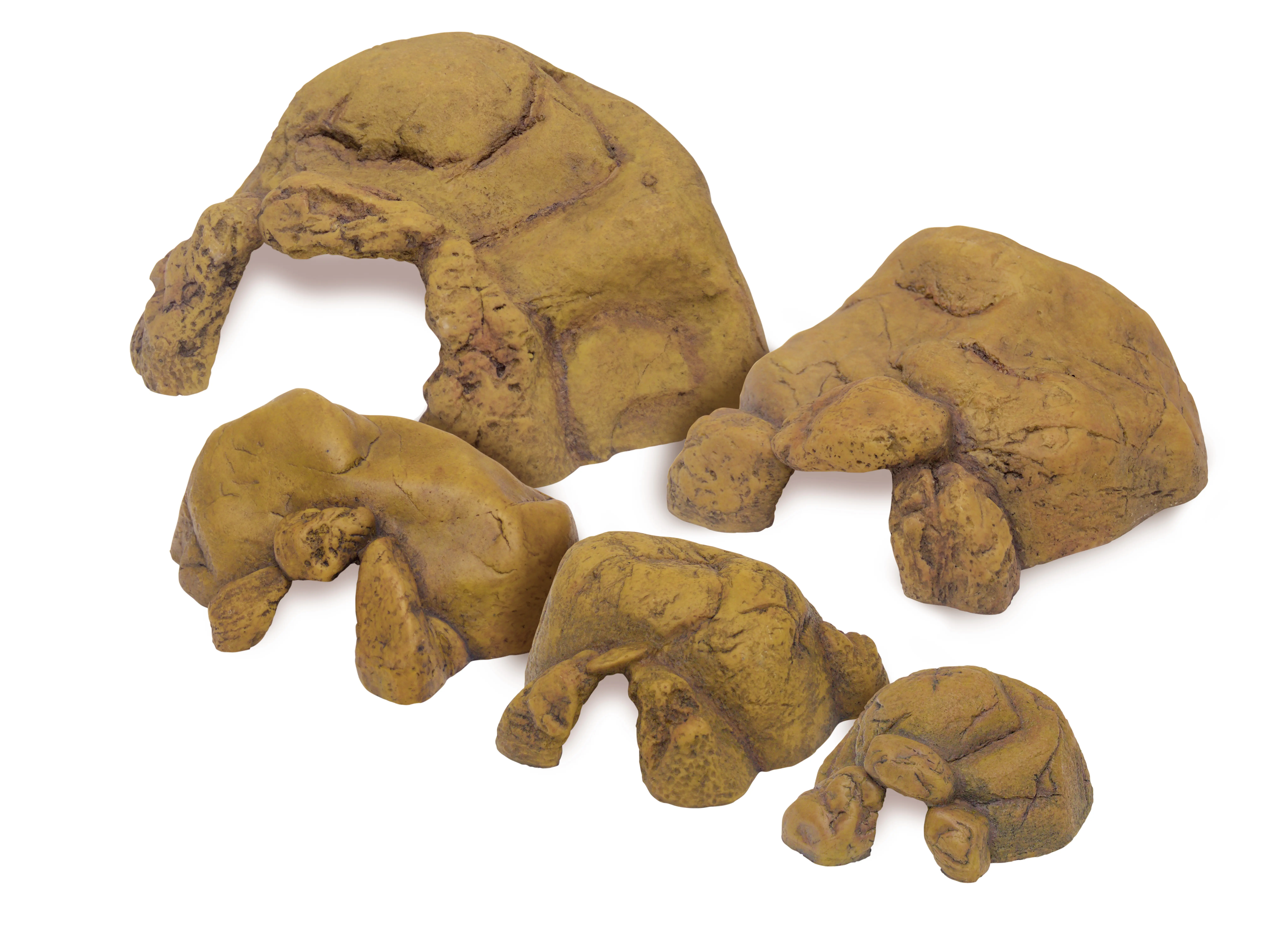 Exo Terra Reptile Cave S