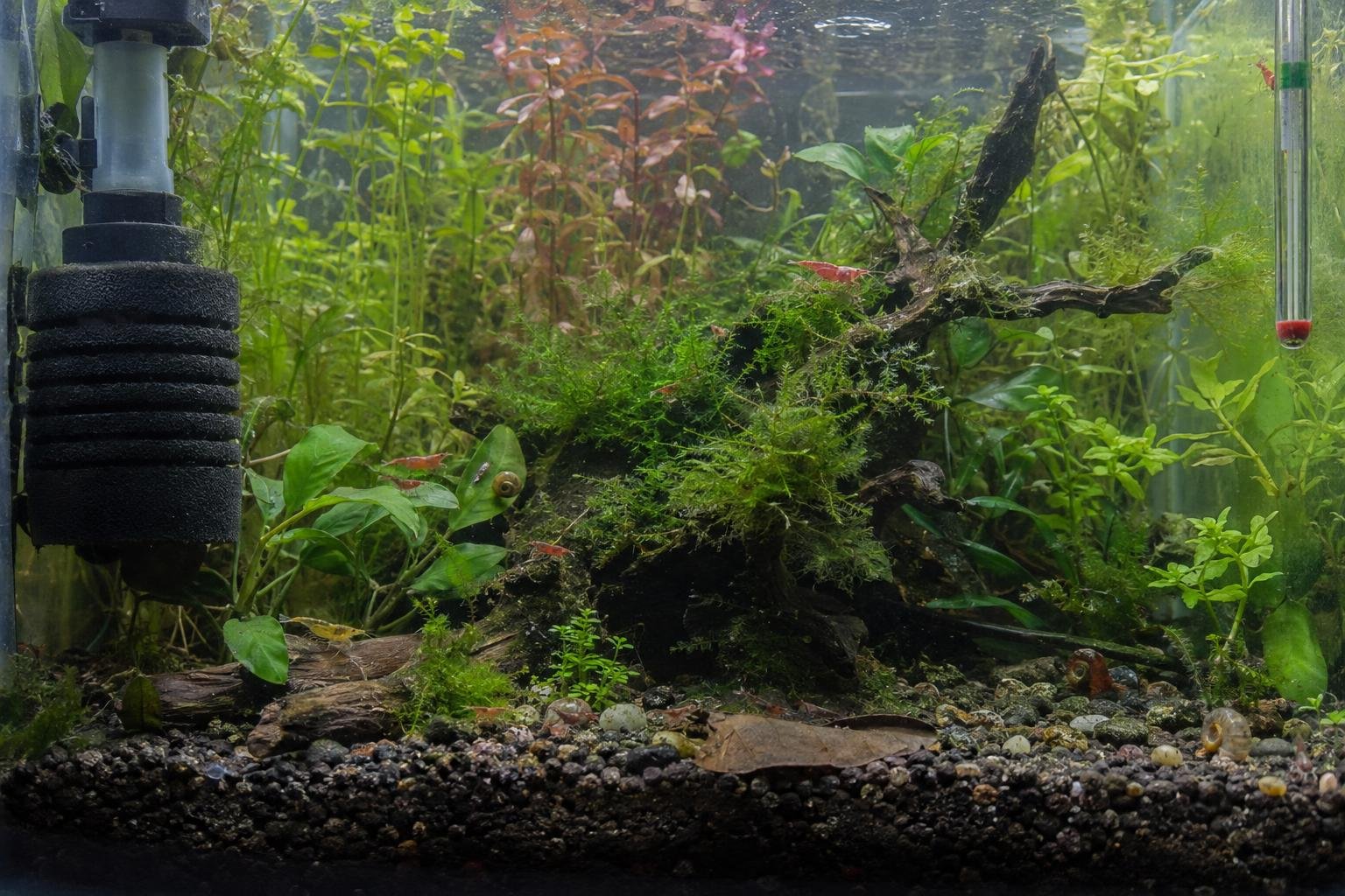 Koffer packen, Aquarium im Blick: entspannt in den Urlaub