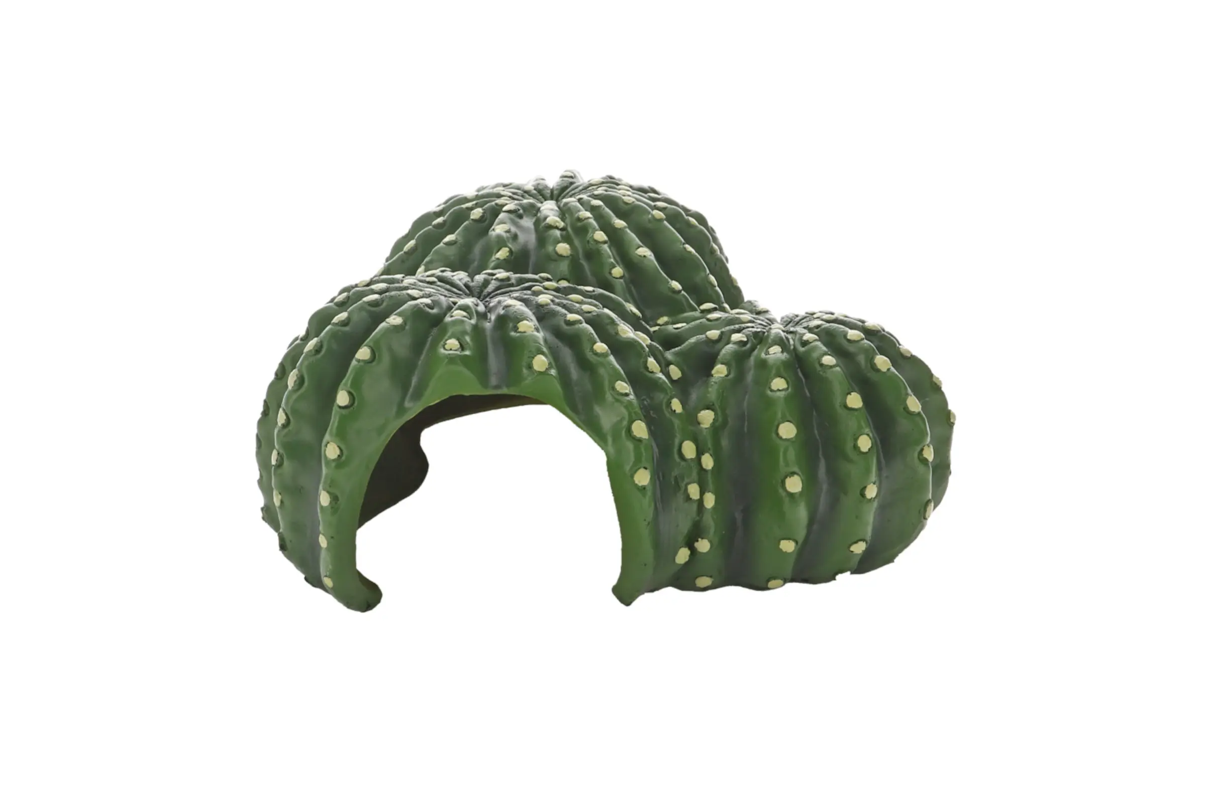 Hobby Cactus Home 1