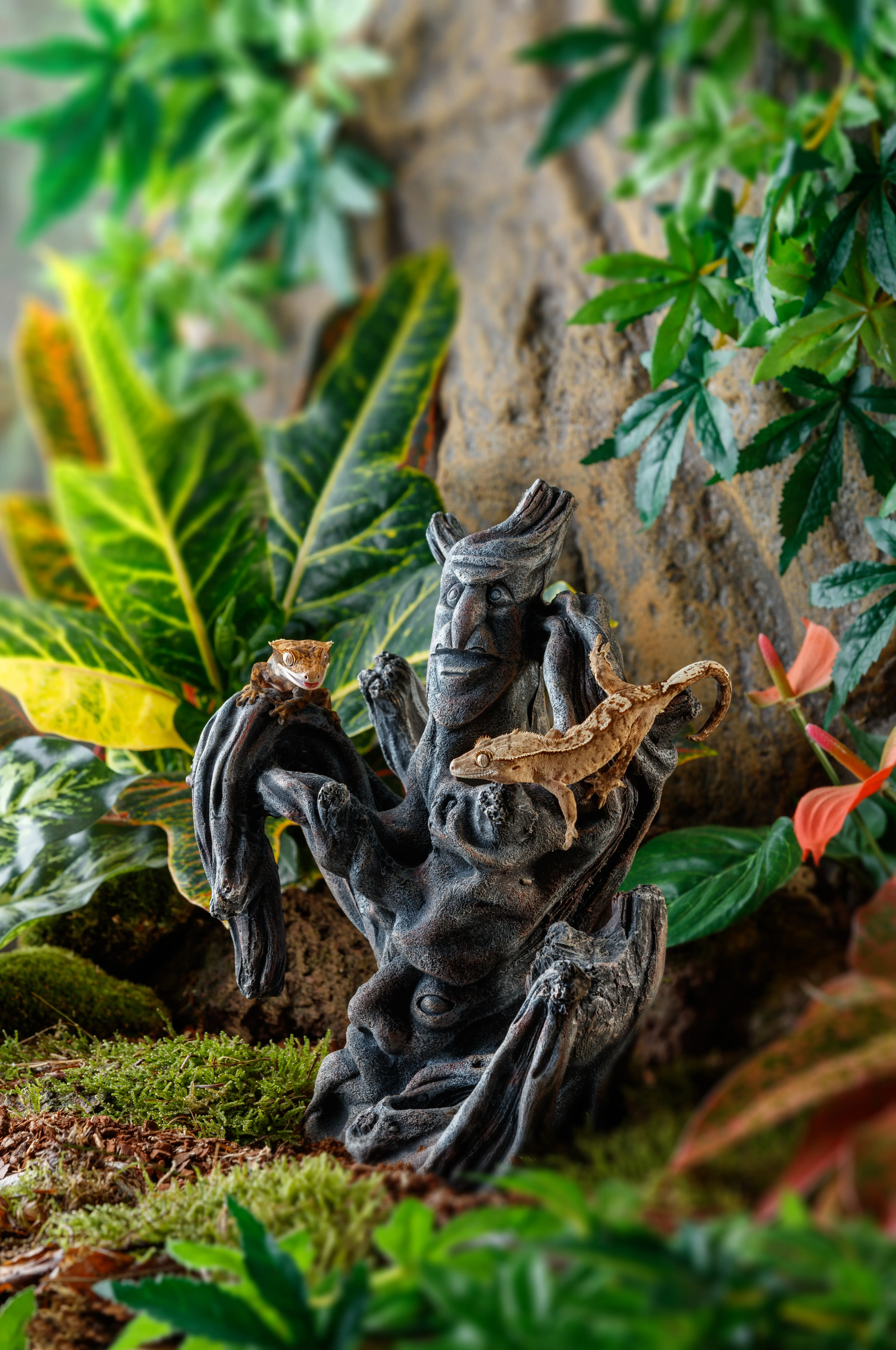 Exo Terra Tiki Ornament klein