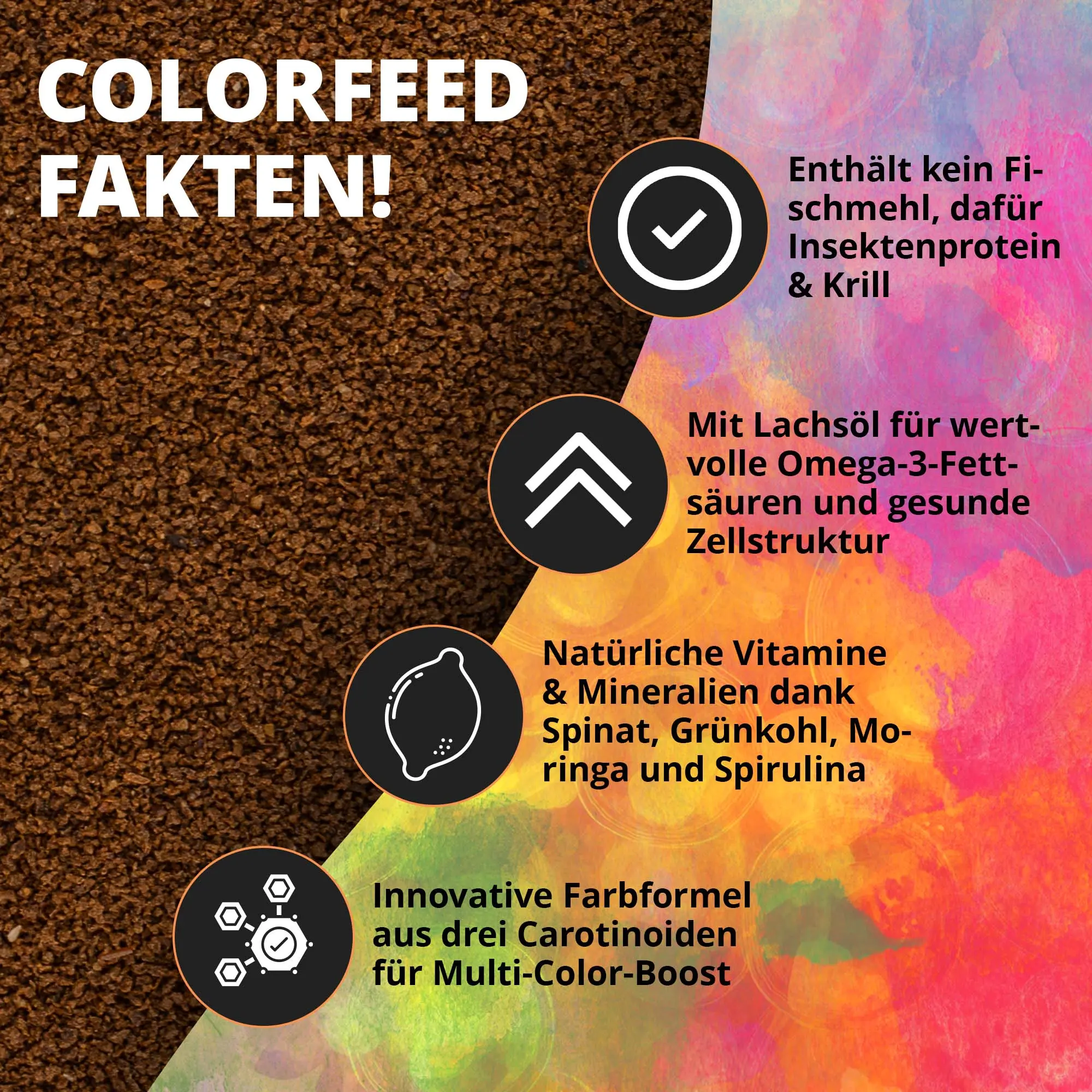 Produktgrafik: Fakten zu Insektenprotein, Lachsöl