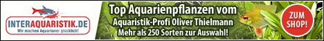 Affiliate-Banner 3