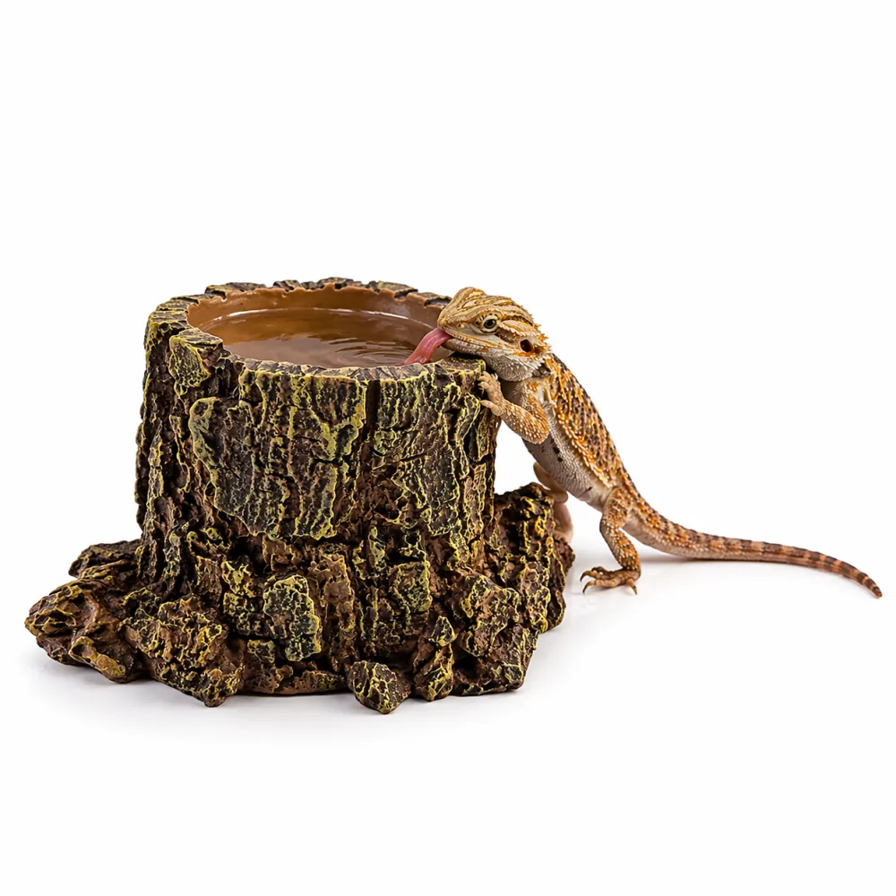 Hobby Forest Stump, Trinkschale und Pflanztopf, 14 x 12,5 x 10 cm