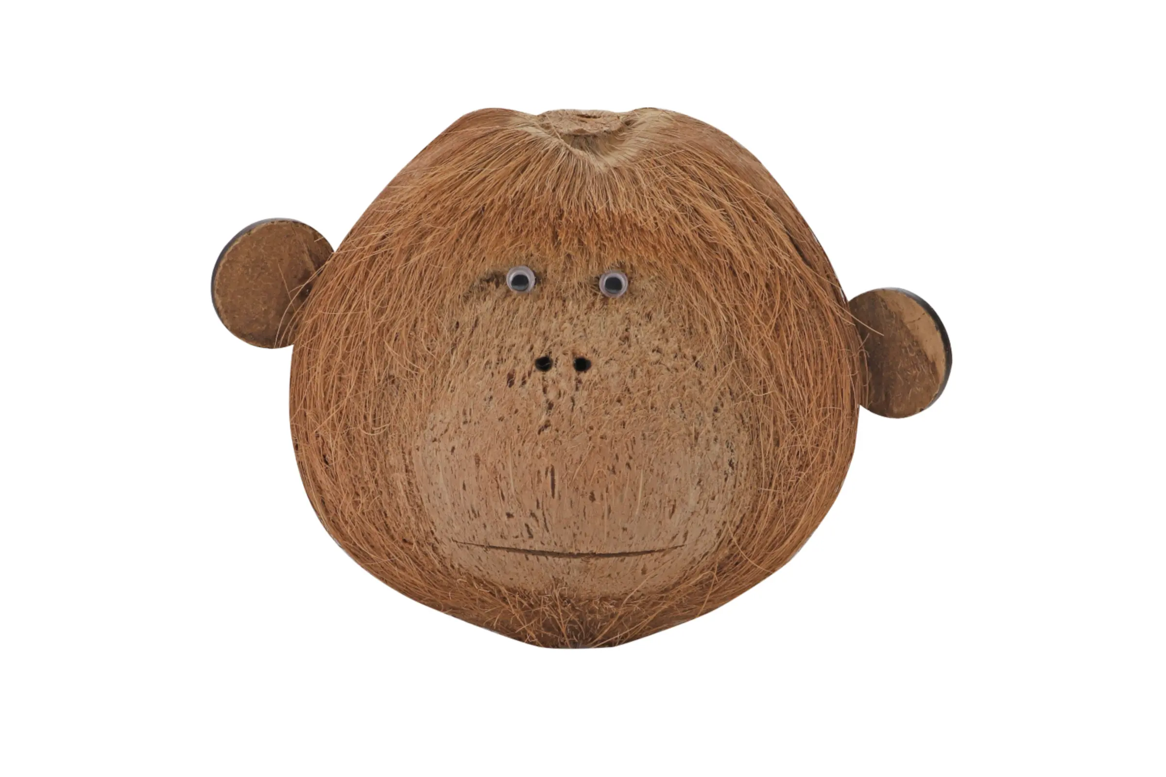 Hobby Coco Monkey 2